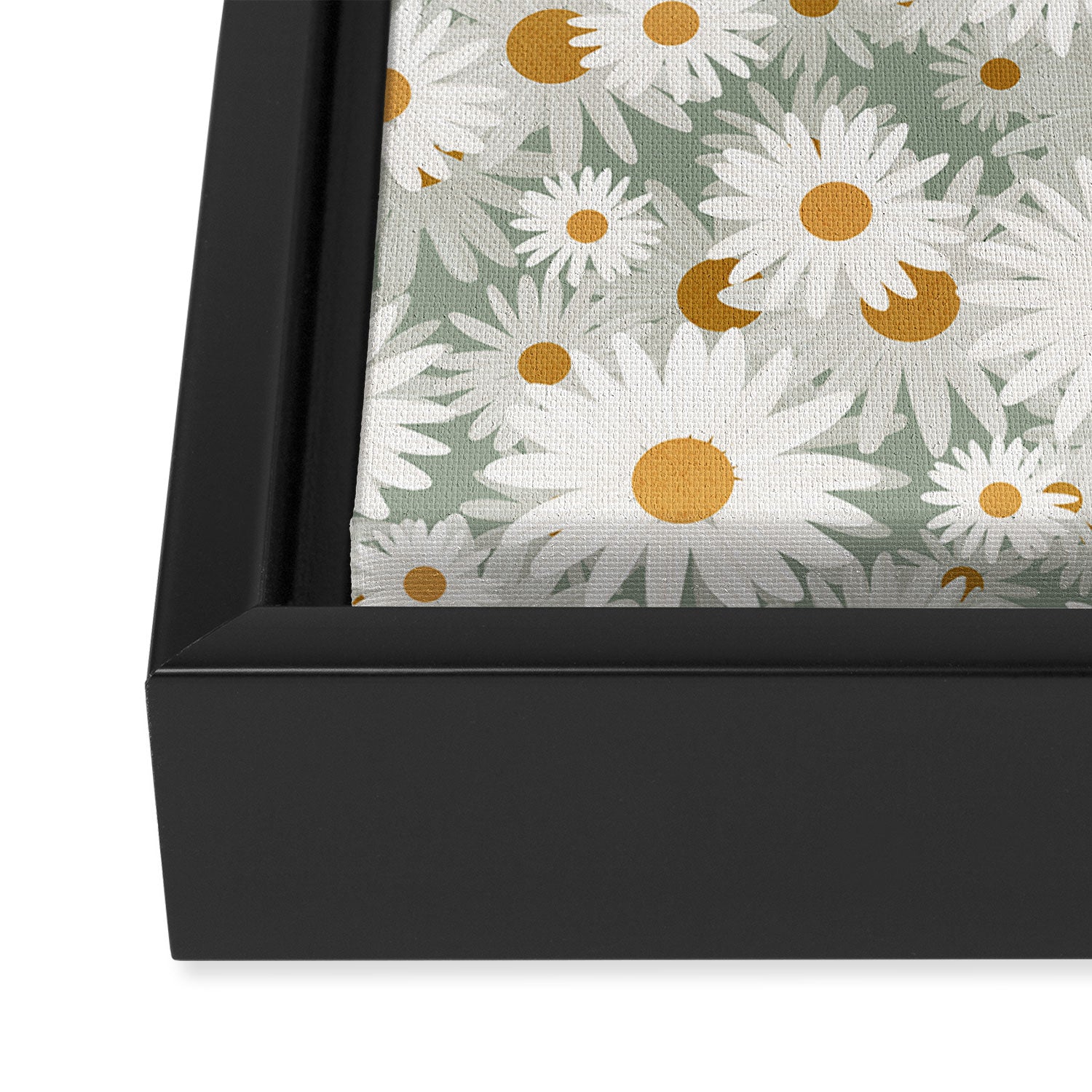 Chamomile pattern Framed Canvas Print Gallery Image 3