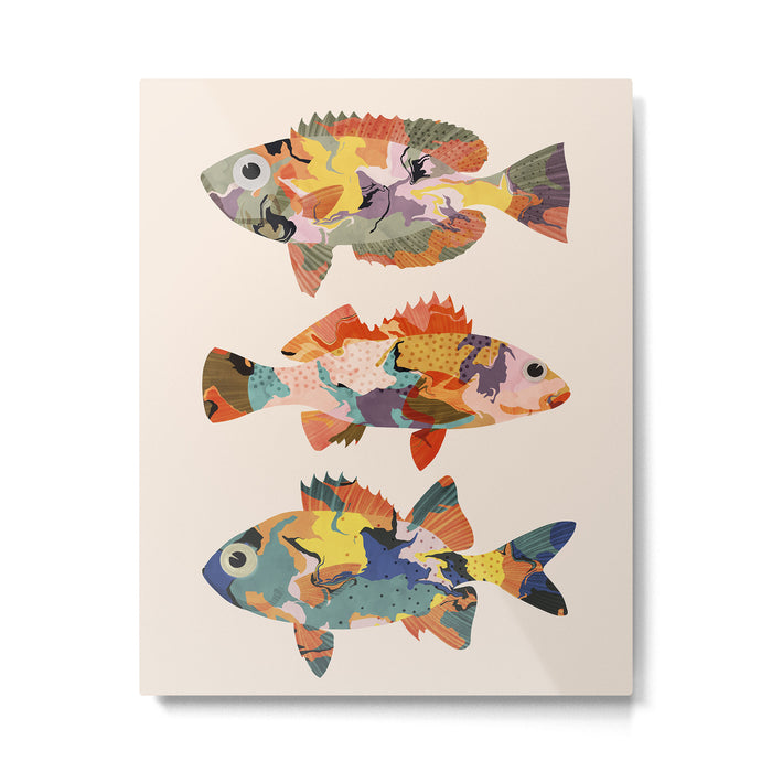 Colorful fish Metal Print Gallery Image 1