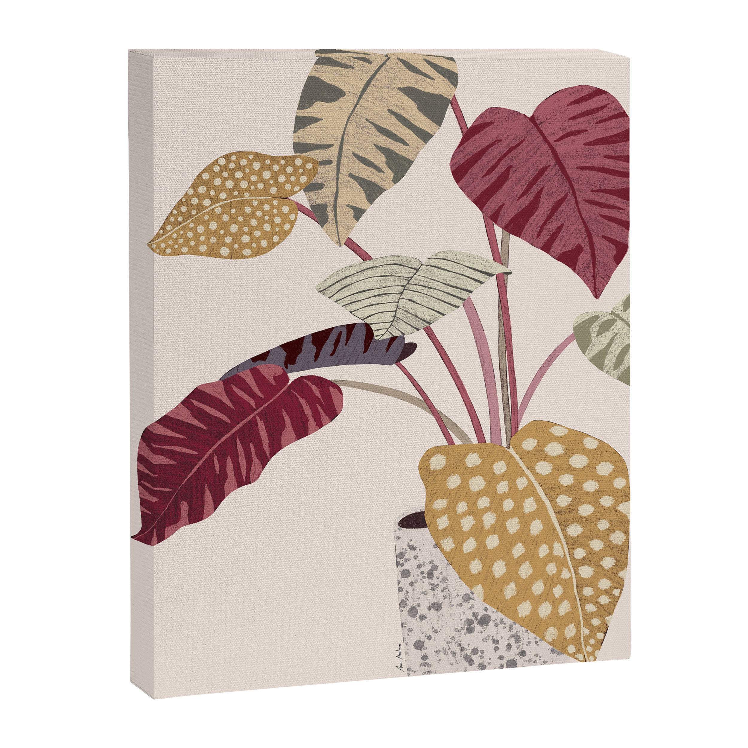 Colorful plant Canvas Print Gallery Image 6