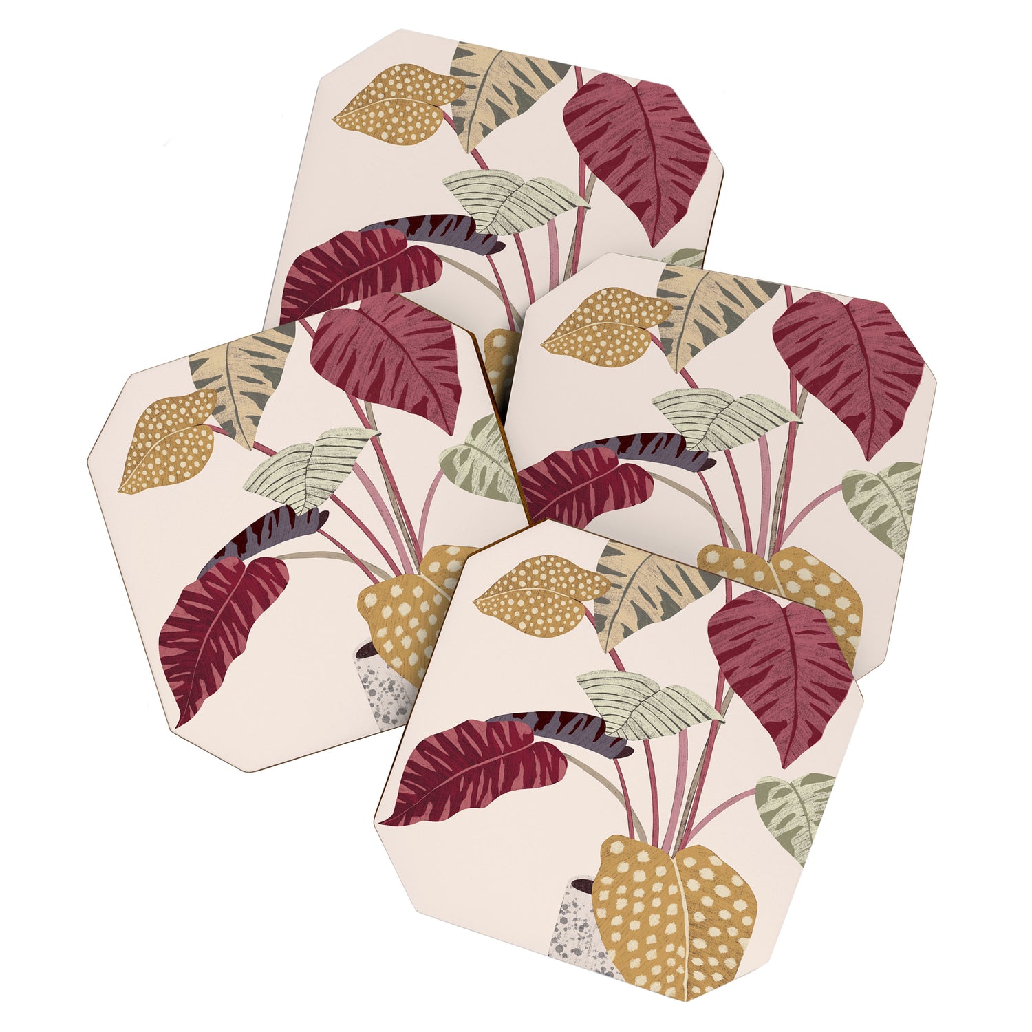 Colorful plant Coaster Gallery Image 1