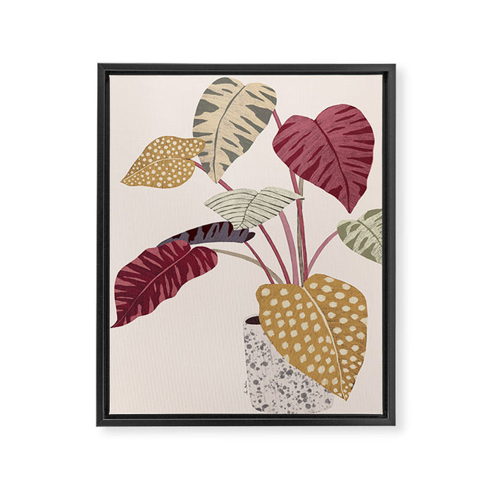Colorful plant Framed Canvas Print Gallery Image 1