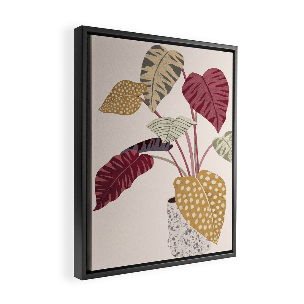 Colorful plant Framed Canvas Print Gallery Image 2