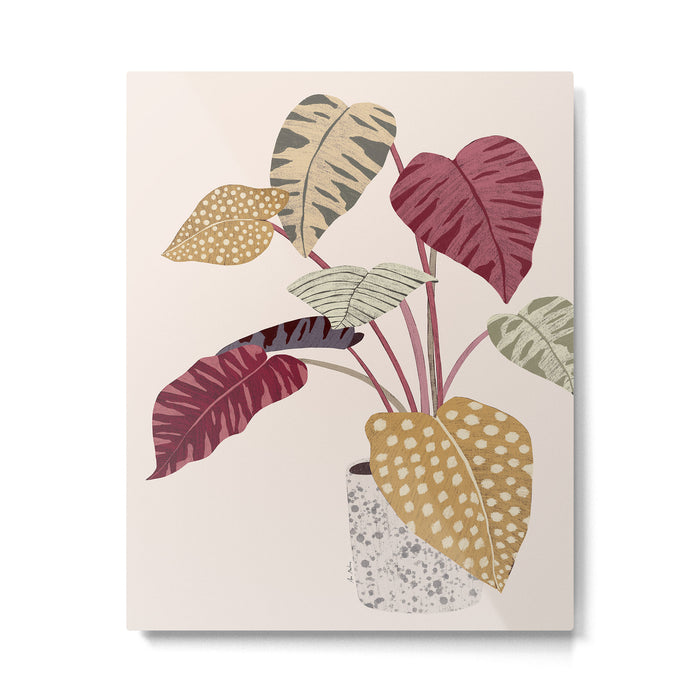 Colorful plant Metal Print Gallery Image 1