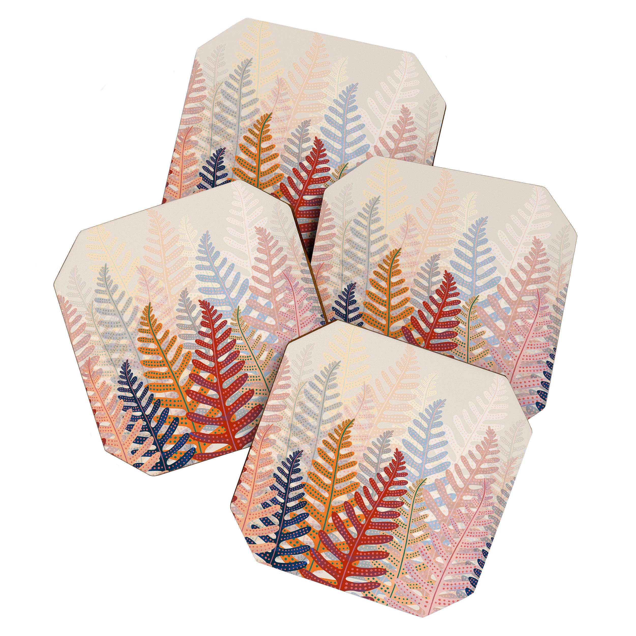 FERNS Coaster Gallery Image 1
