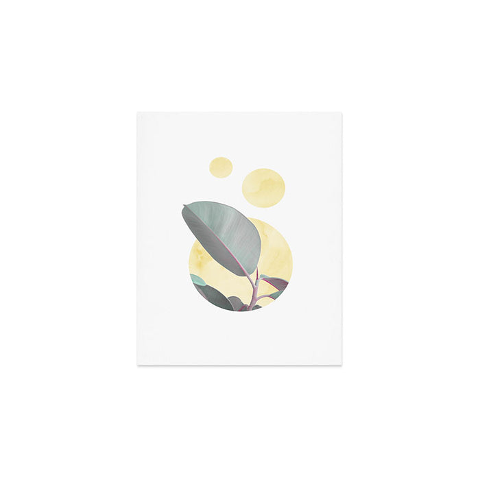 Ficus circles Art Print Gallery Image 1