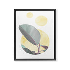 Ficus circles Framed Canvas Print Gallery Image 6