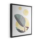 Ficus circles Framed Canvas Print Gallery Image 2