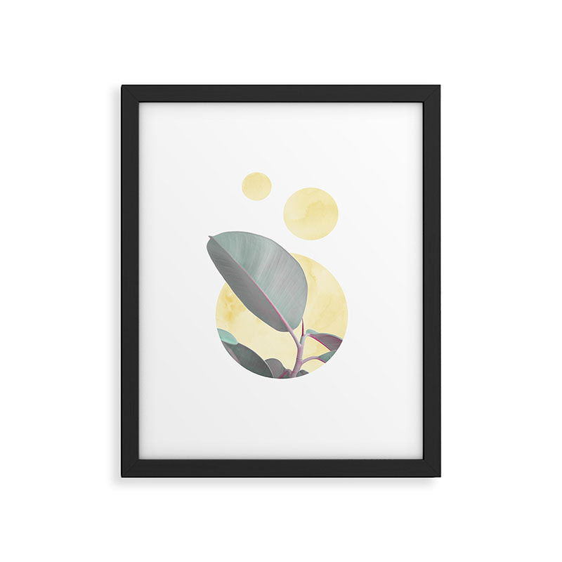 Ficus circles Framed Art Print Gallery Image 5