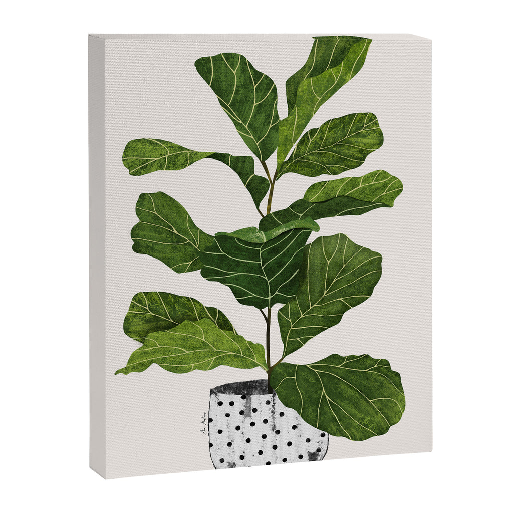 Fiddle leaf fig Tree Canvas Print Gallery Image 6