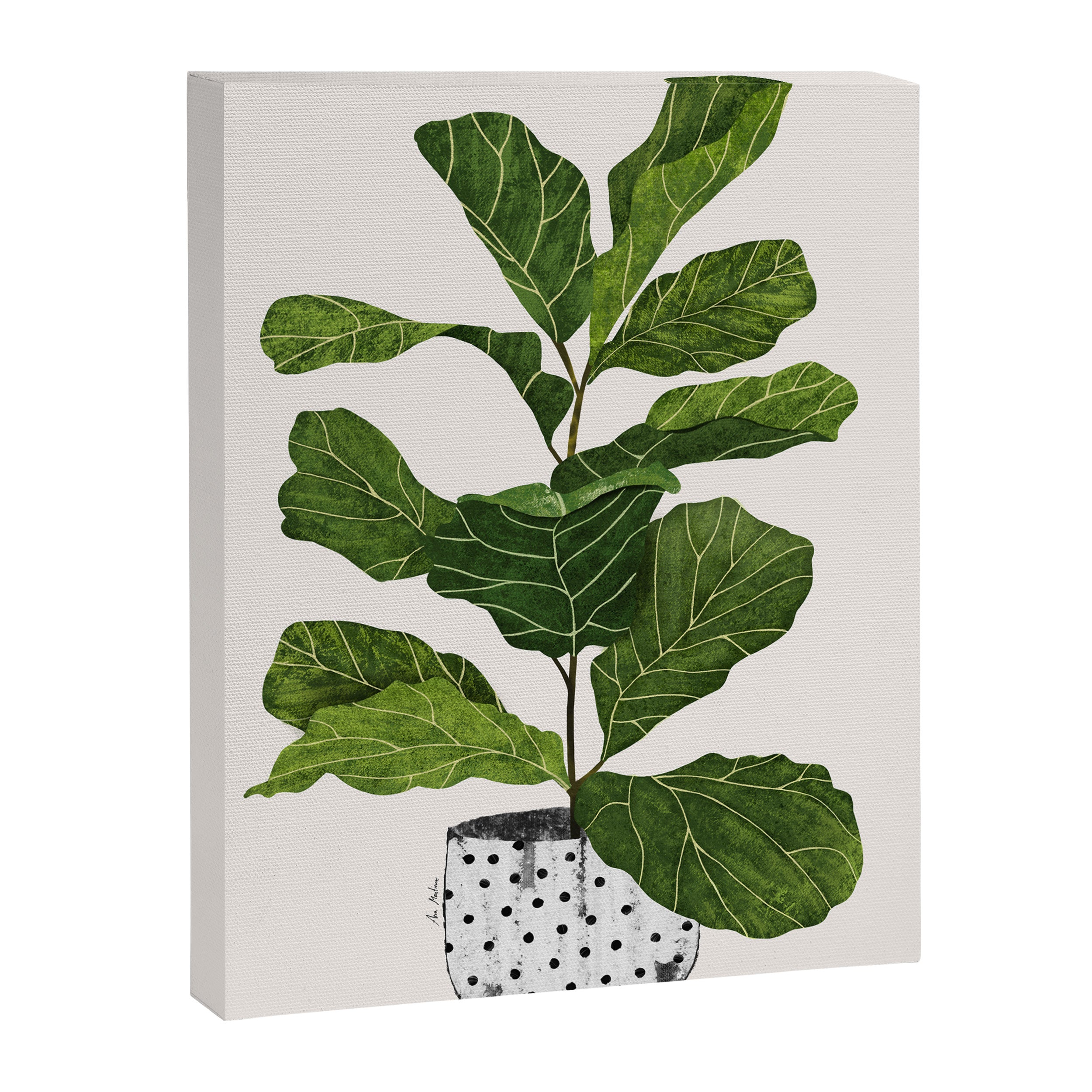 Fiddle leaf fig Tree Canvas Print Gallery Image 6