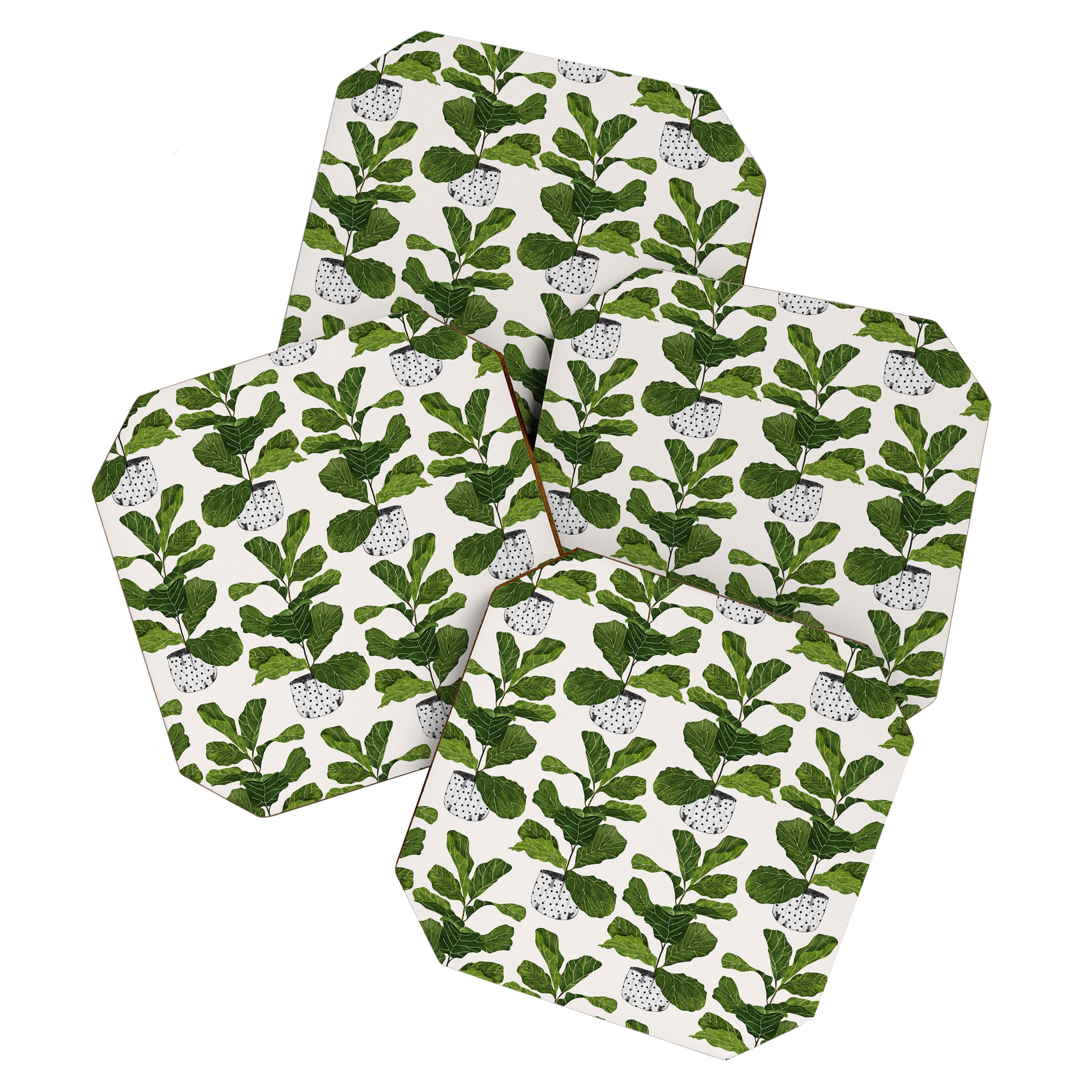 Fiddle leaf fig Tree Coaster Gallery Image 1