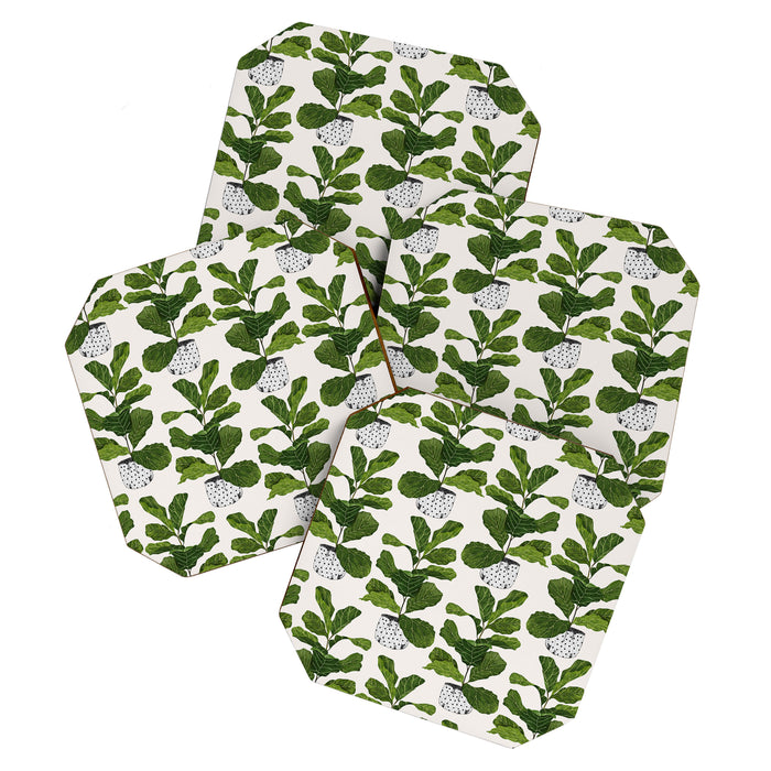 Fiddle leaf fig Tree Coaster Gallery Image 1