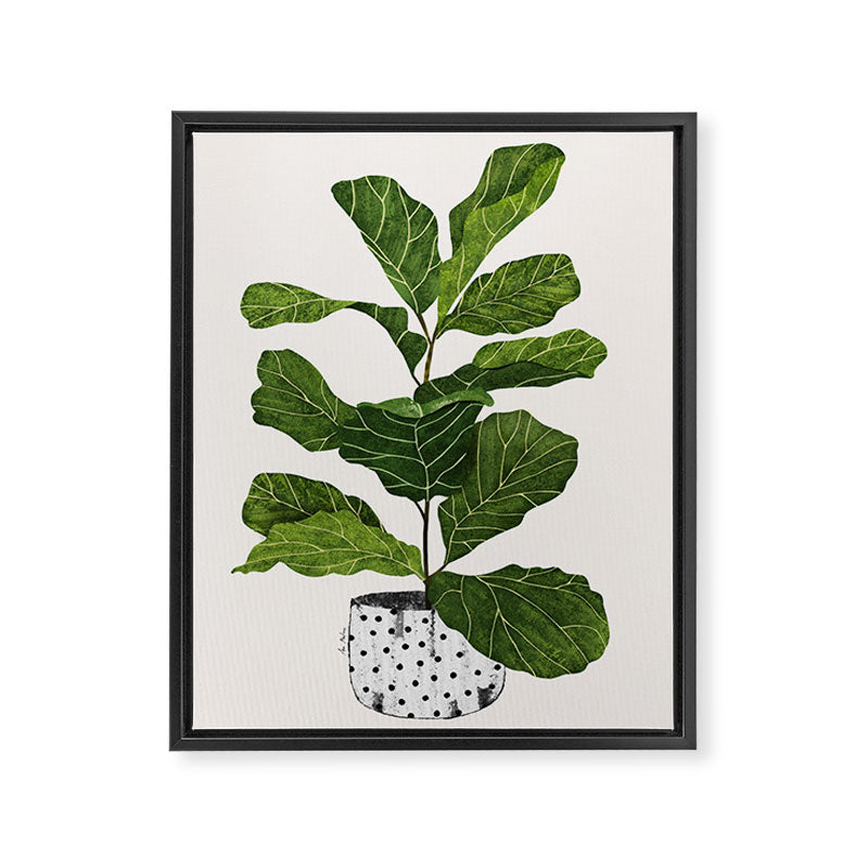 Fiddle leaf fig Tree Framed Canvas Print Gallery Image 6