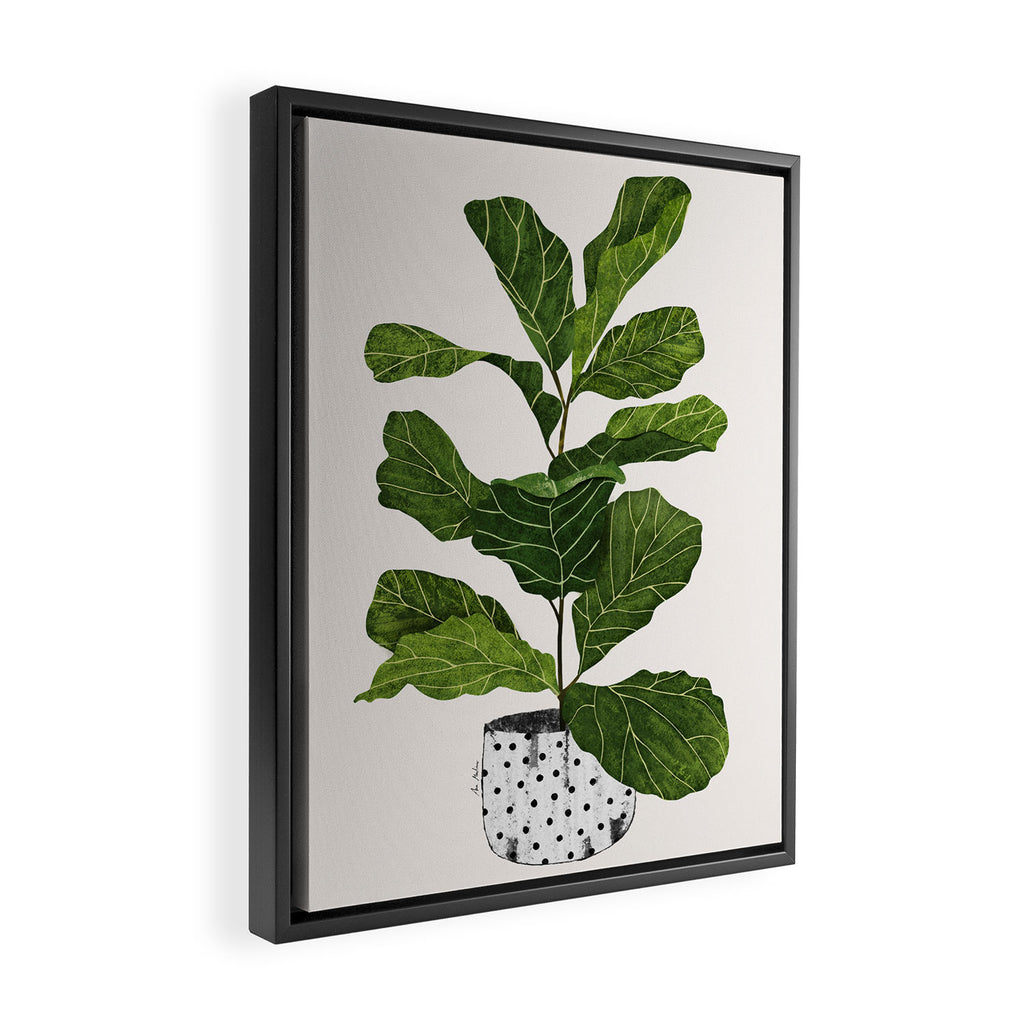 Fiddle leaf fig Tree Framed Canvas Print Gallery Image 2