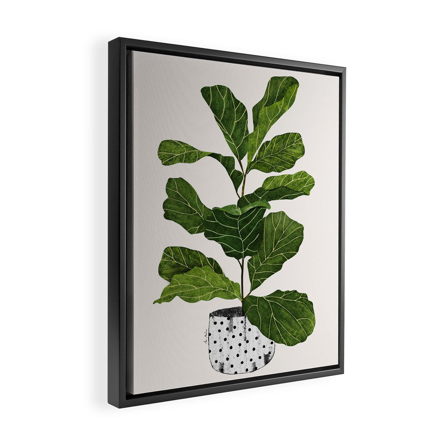Fiddle leaf fig Tree Framed Canvas Print Gallery Image 2