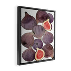 figs still life botanical watercolor Framed Canvas Print Gallery Image 2