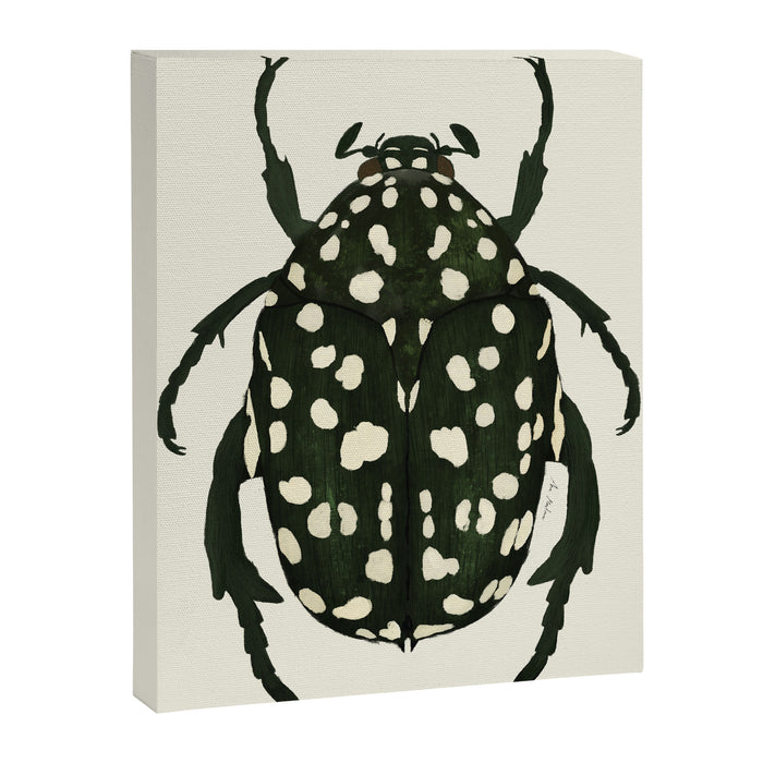 green beetle insect Canvas Print Gallery Image 1