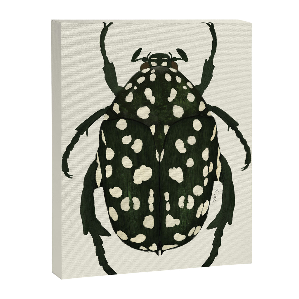 green beetle insect Canvas Print Gallery Image 6