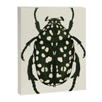 green beetle insect Canvas Print Gallery Image 6