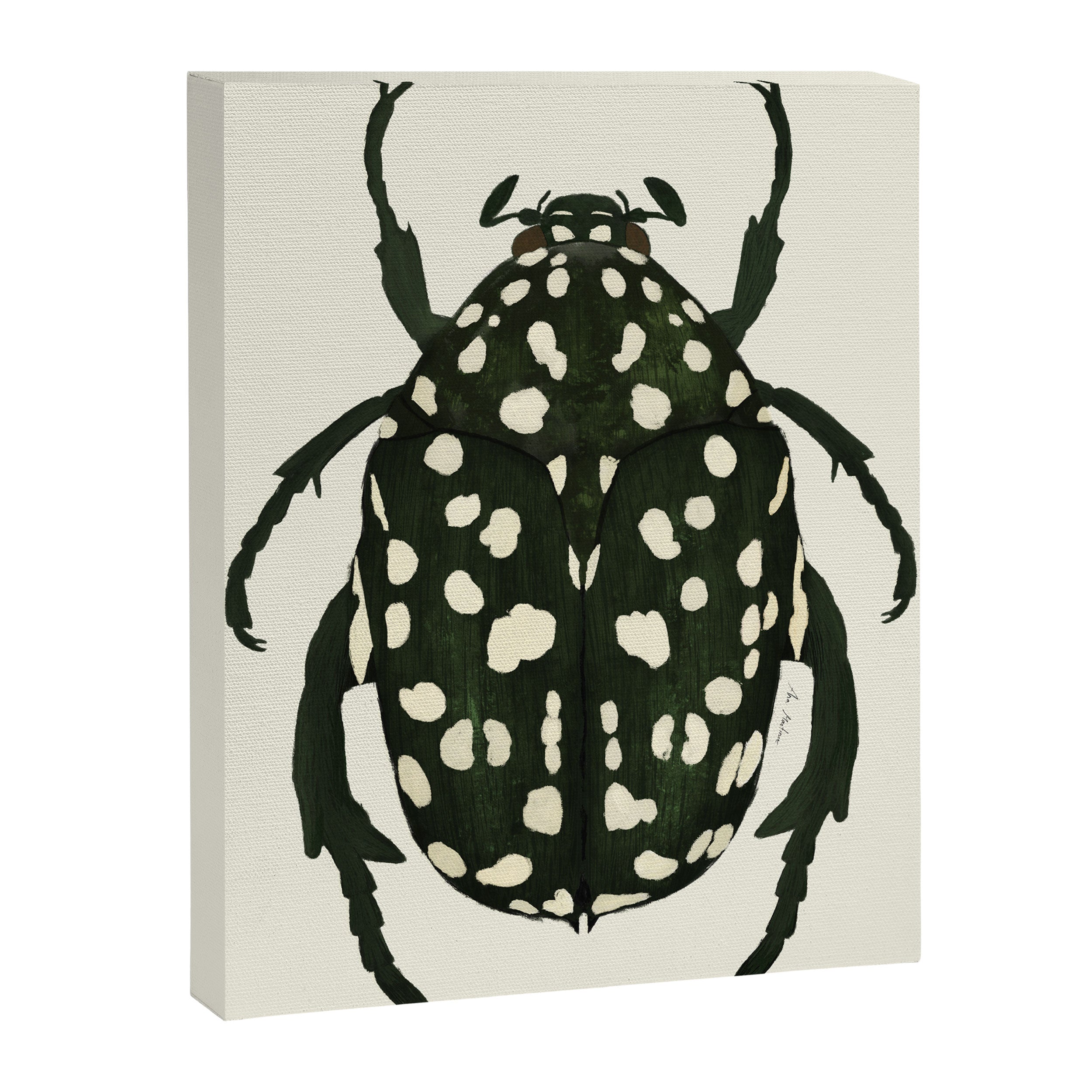 green beetle insect Canvas Print Gallery Image 6