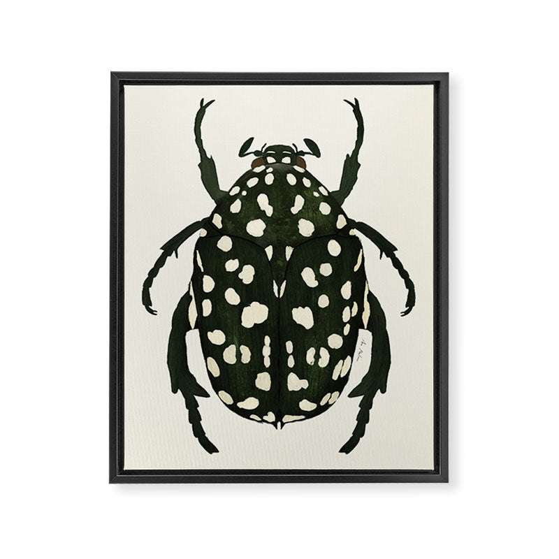 green beetle insect Framed Canvas Print Gallery Image 6