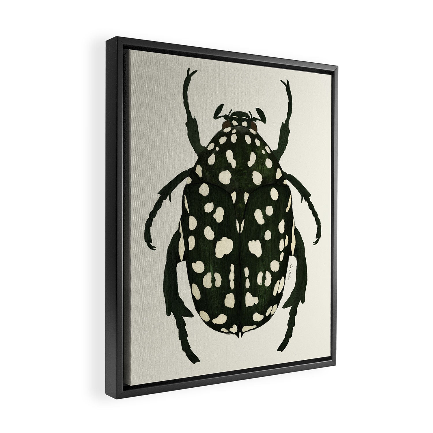 green beetle insect Framed Canvas Print Gallery Image 2