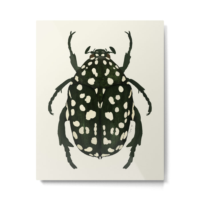 green beetle insect Metal Print Gallery Image 1
