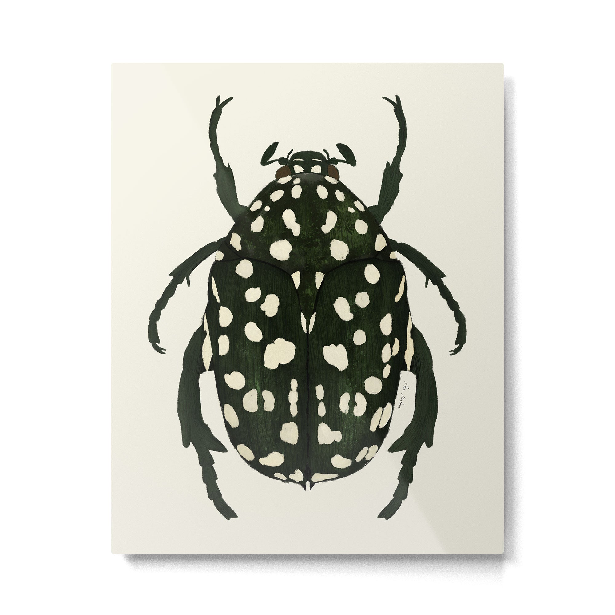 green beetle insect Metal Print Gallery Image 4