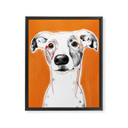 Greyhound dog portrait Framed Canvas Print Gallery Image 6