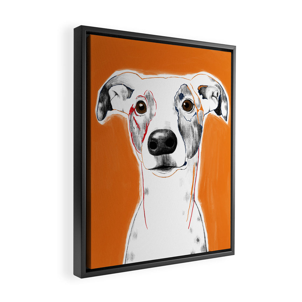 Greyhound dog portrait Framed Canvas Print Gallery Image 2