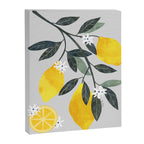 Lemon tree branch Canvas Print Gallery Image 6