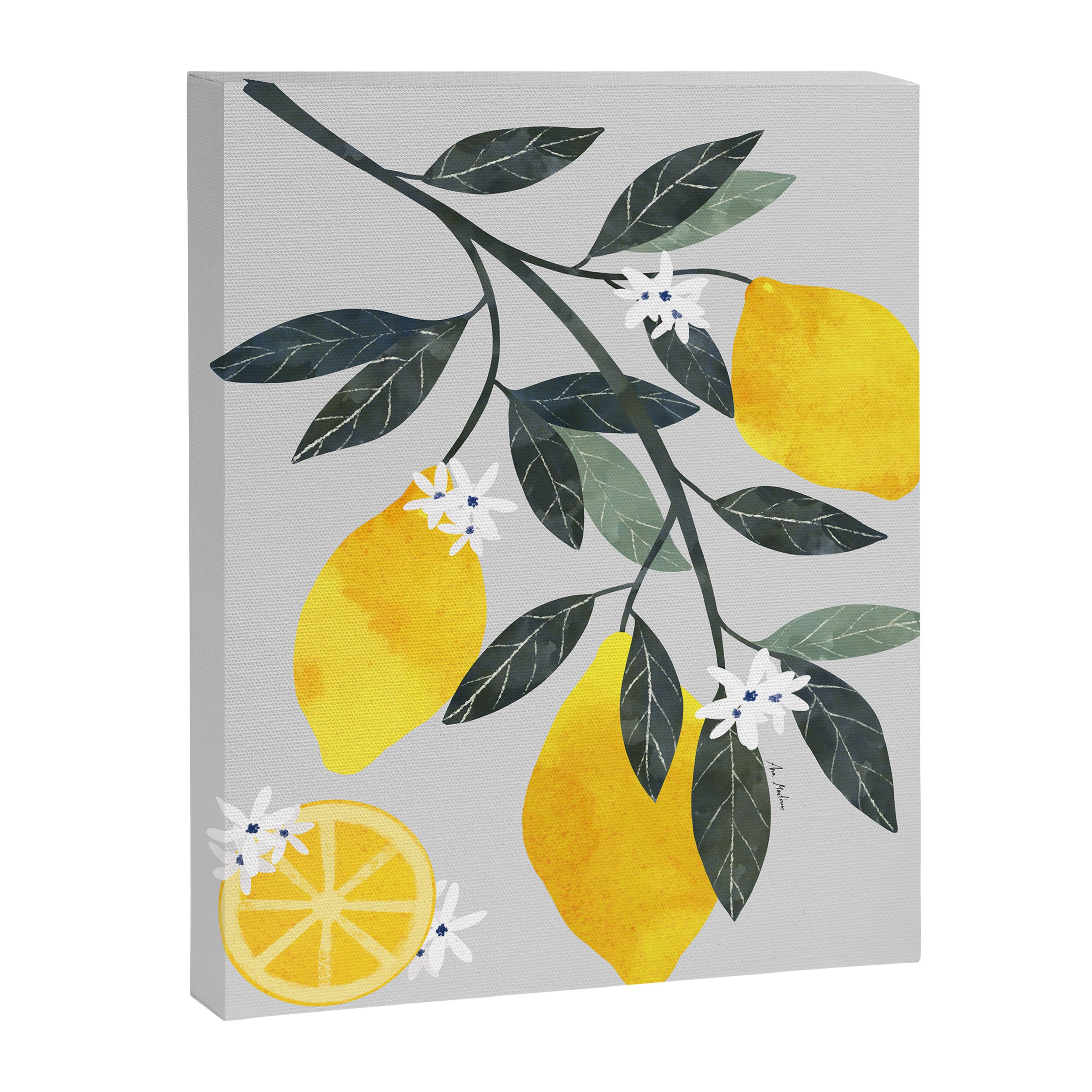 Lemon tree branch Canvas Print Gallery Image 6