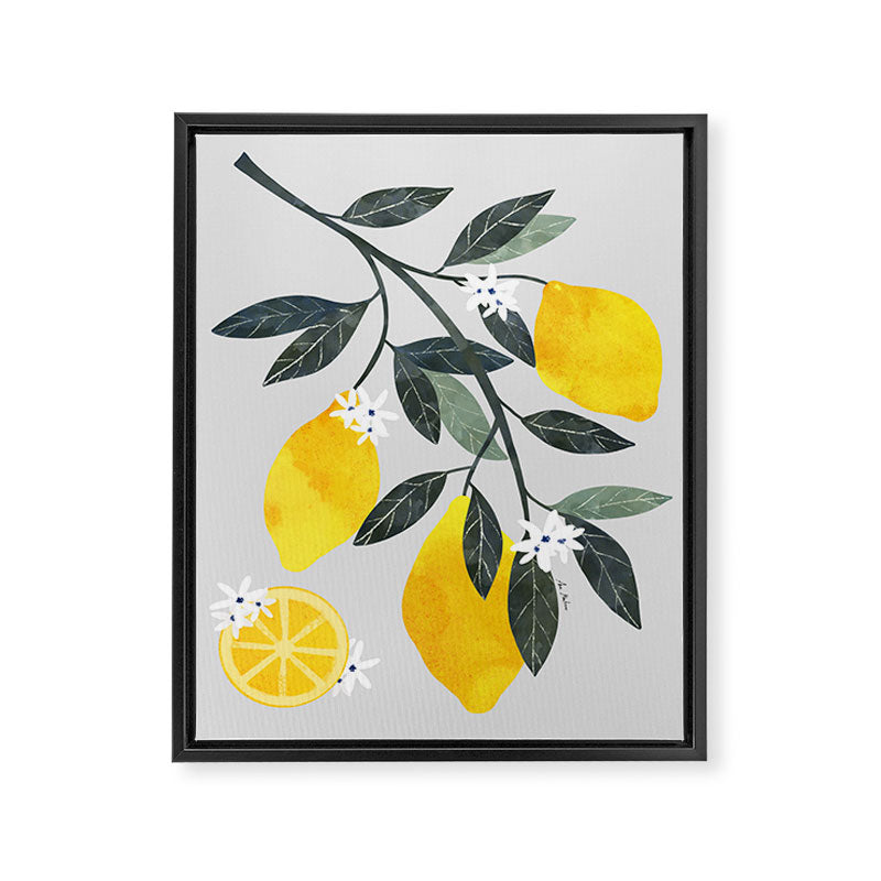 Lemon tree branch Framed Canvas Print Gallery Image 6