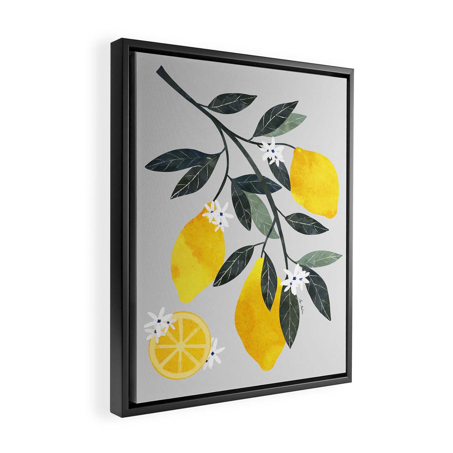 Lemon tree branch Framed Canvas Print Gallery Image 2