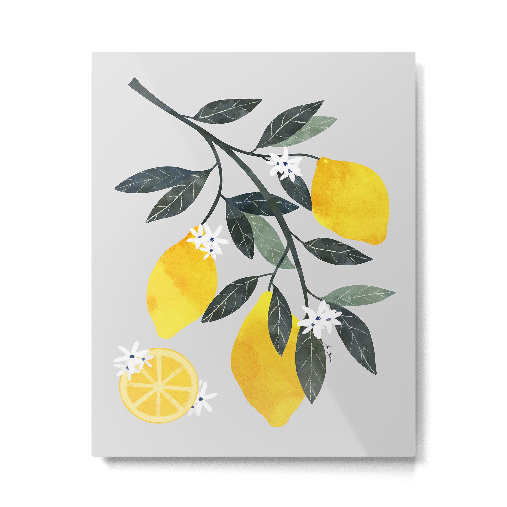 Lemon tree branch Metal Print Gallery Image 4