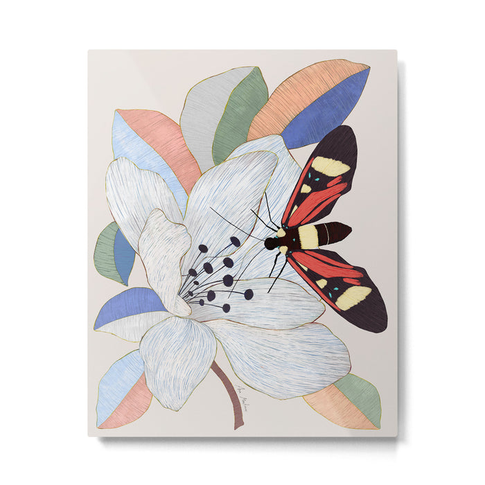 Magnolia flower and insect Metal Print Gallery Image 1