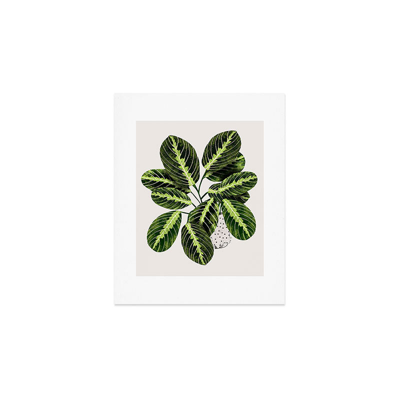 Maranta Lemon lime interior Plant Art Print Gallery Image 1