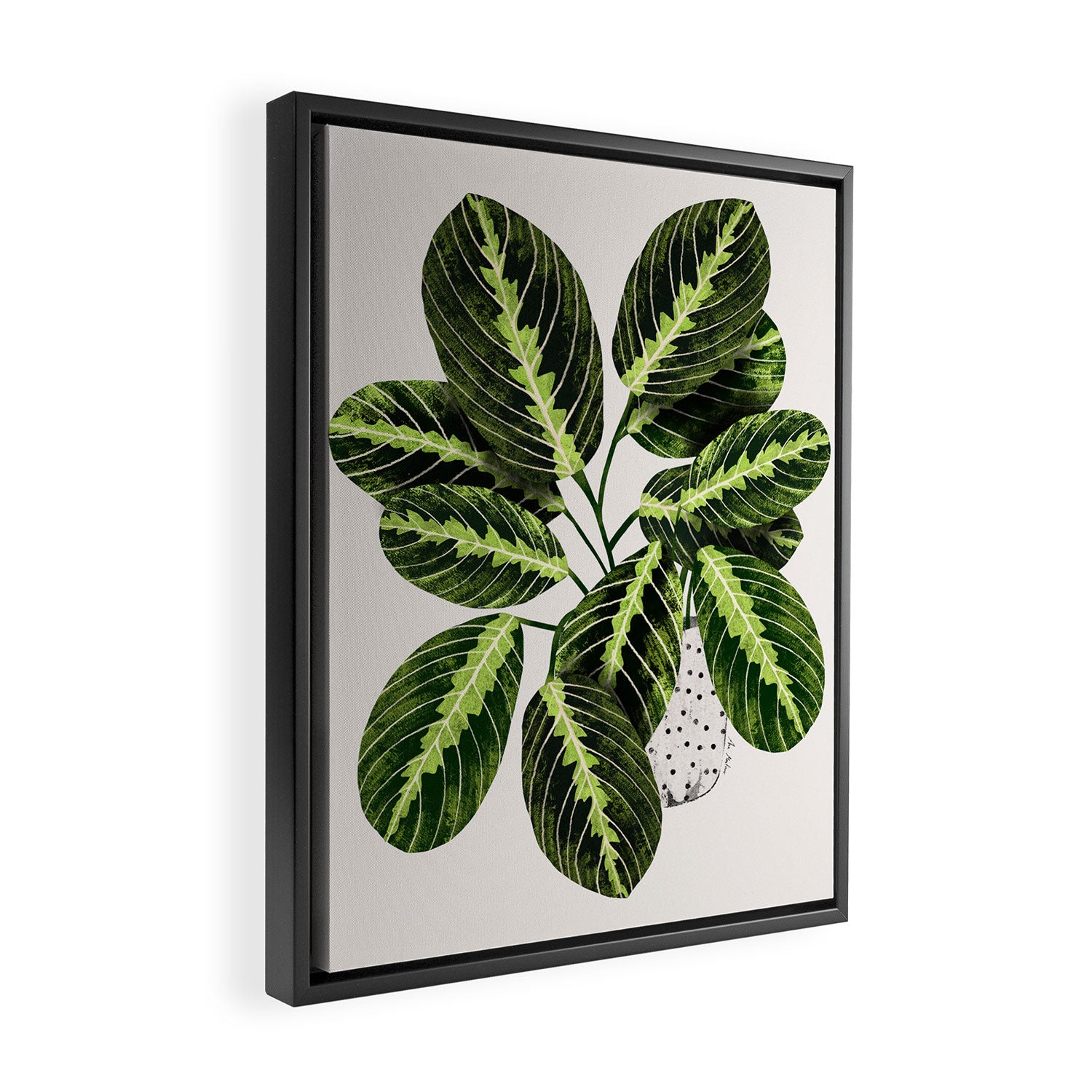 Maranta Lemon lime interior Plant Framed Canvas Print Gallery Image 2