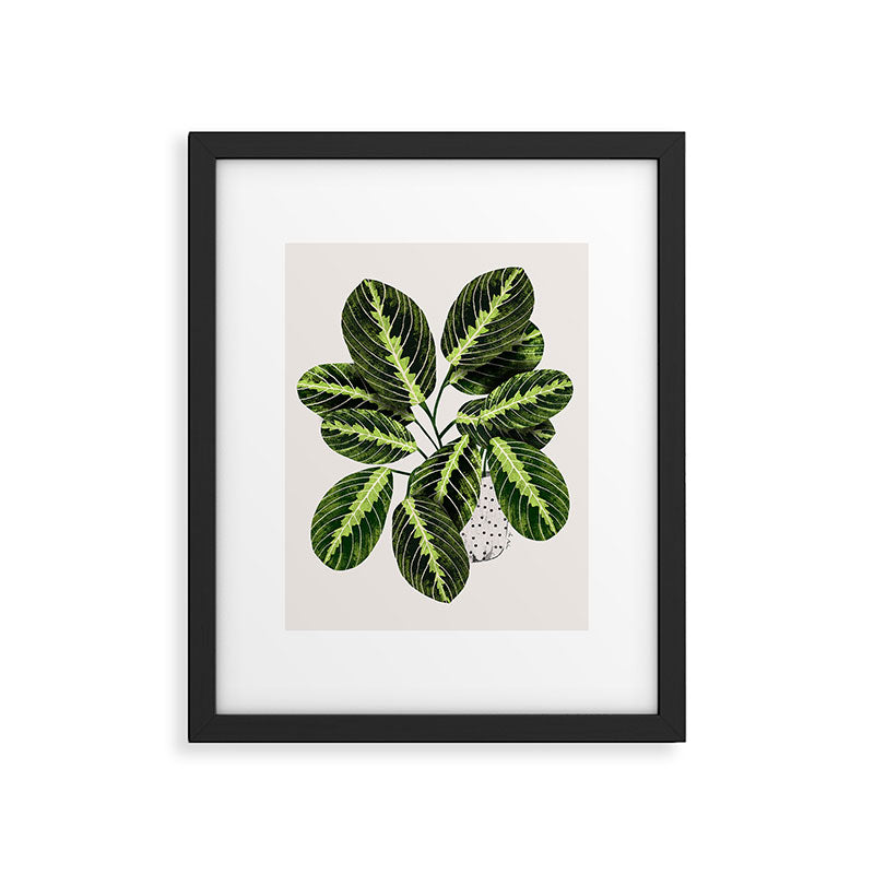 Maranta Lemon lime interior Plant Framed Art Print Gallery Image 6