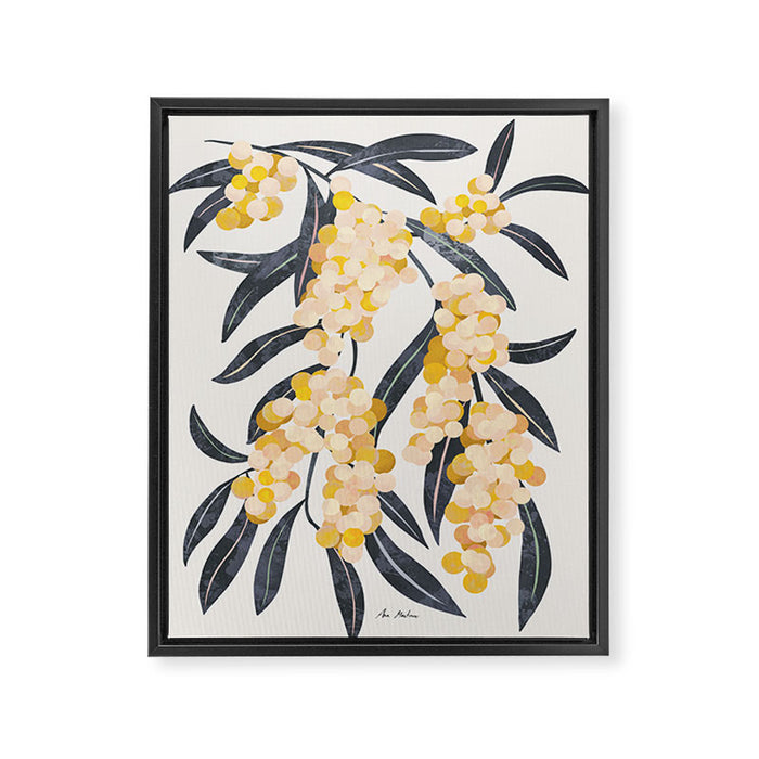 Mediterranean Acacia Framed Canvas Print Gallery Image 1