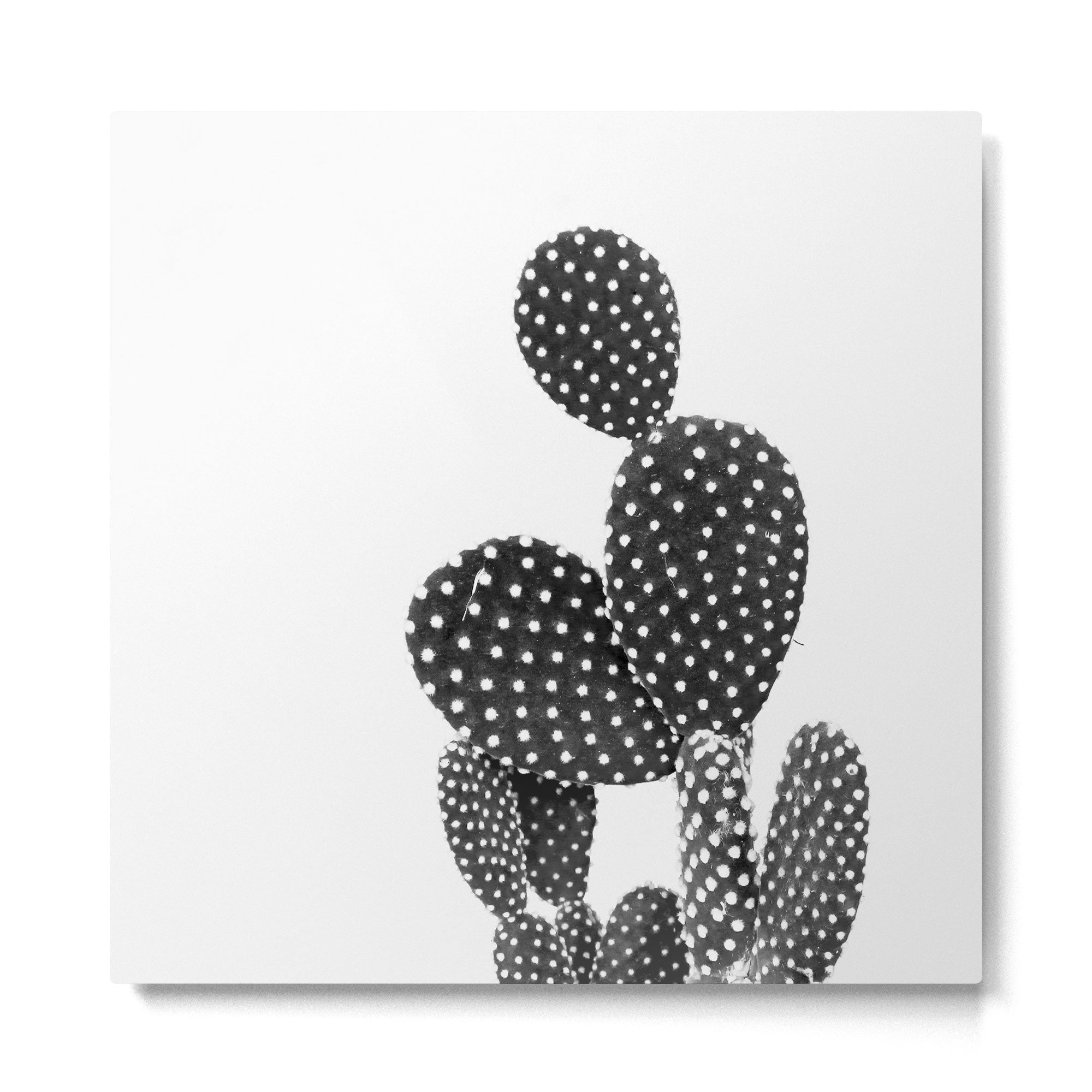 Nature III cactus Metal Print Gallery Image 2