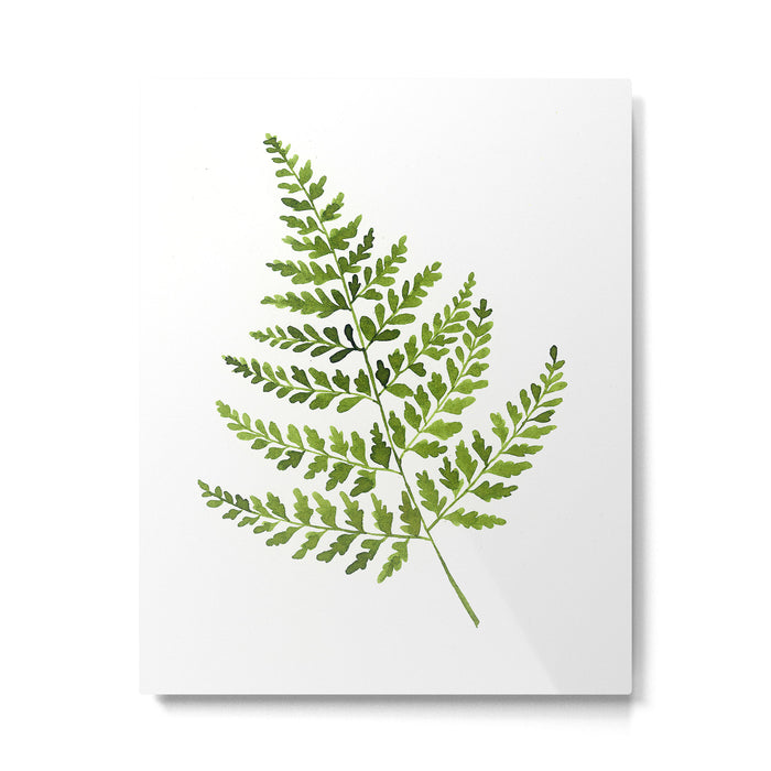 Nature Leaves III Metal Print Gallery Image 1