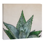 nature VI cactus Canvas Print Gallery Image 12