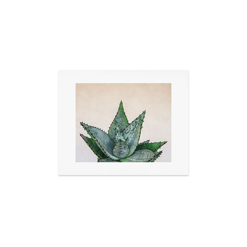 nature VI cactus Art Print Gallery Image 1