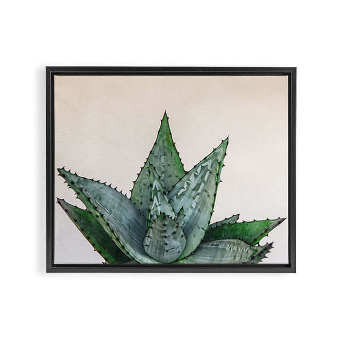 nature VI cactus Framed Canvas Print Gallery Image 1