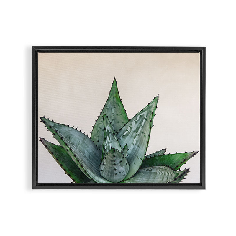 nature VI cactus Framed Canvas Print Gallery Image 12