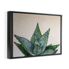 nature VI cactus Framed Canvas Print Gallery Image 2