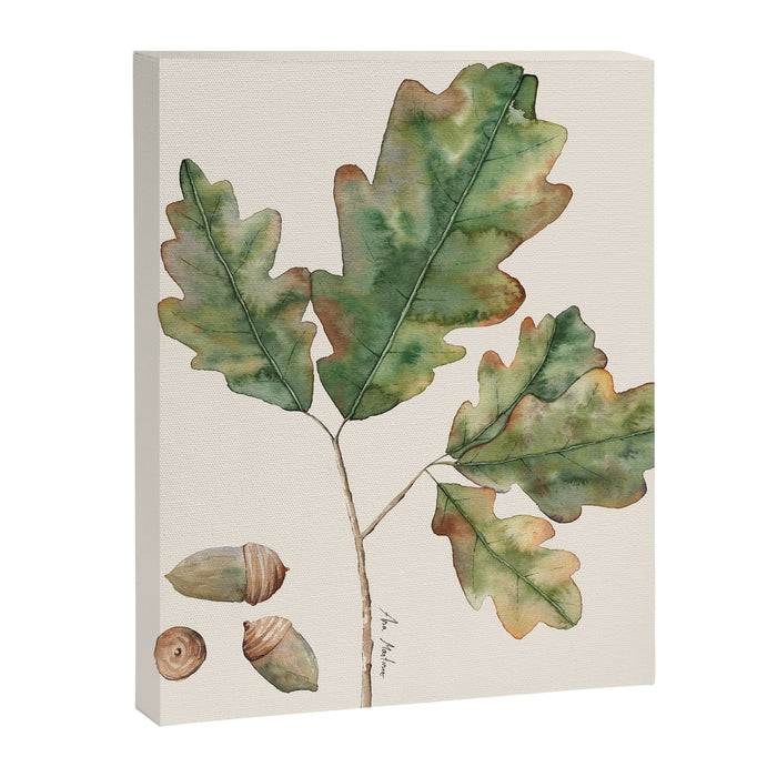 Oak tree  green leaves  Canvas Print Gallery Image 1