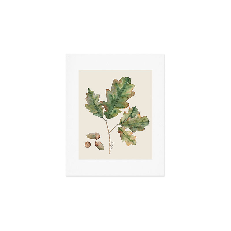 Oak tree  green leaves  Art Print Gallery Image 1