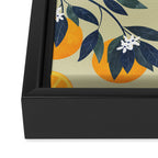 Oranges pattern Framed Canvas Print Gallery Image 3